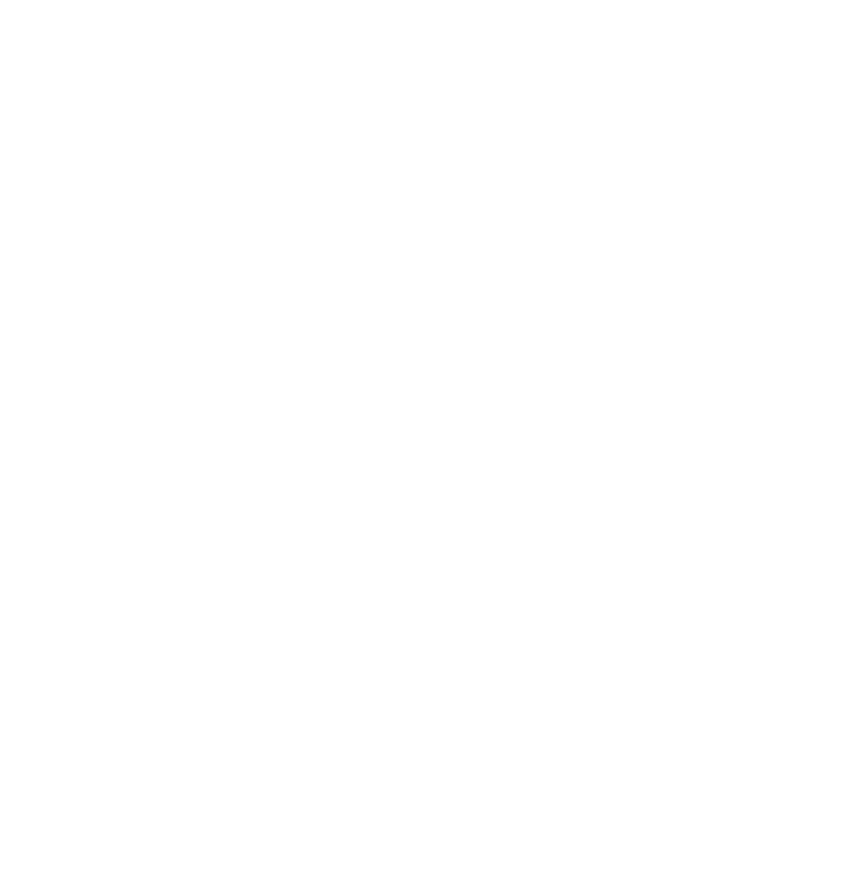 SMFFL logo